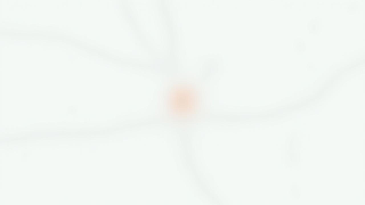 Map showing EcoShine Cleaning Ltd office location at 51 Queen Street, Newmarket.